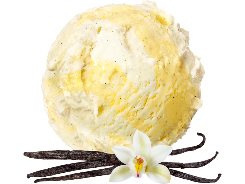 Hienoimmat kermajäätelömme - Vanilja 5 litraa