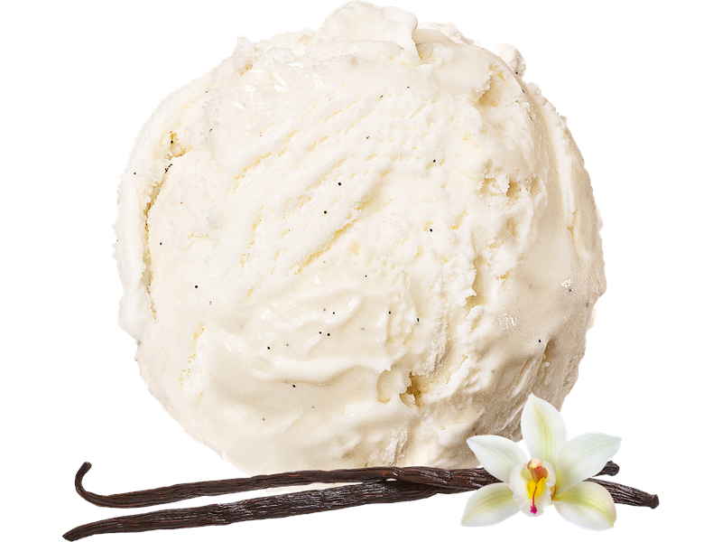 Vanilja laktoositon 5 litraa